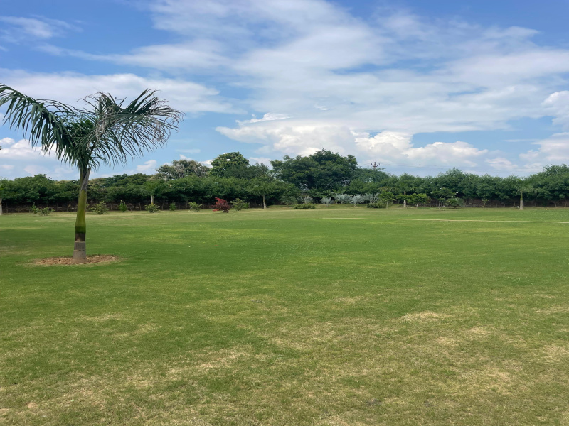  Agricultural Land 2420 Sq. Yards for Sale in Sohna, Gurgaon