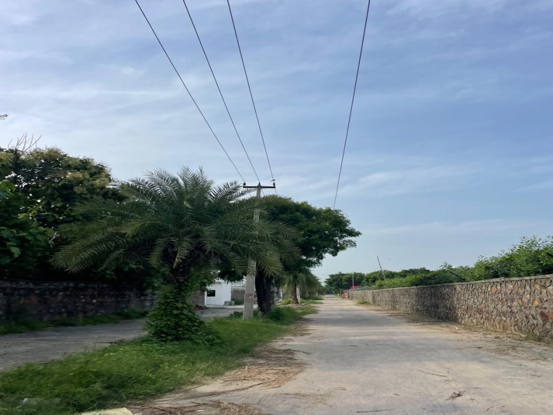  Agricultural Land 2420 Sq. Yards for Sale in Sohna, Gurgaon
