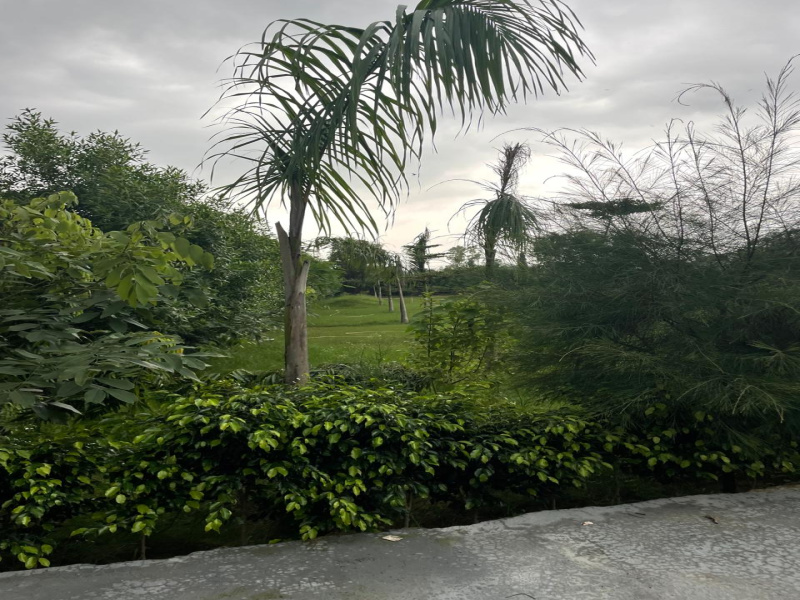  Agricultural Land 2420 Sq. Yards for Sale in Sohna, Gurgaon
