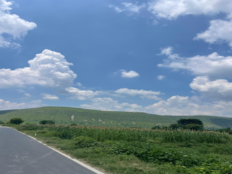  Agricultural Land 5 Bigha for Sale in Naugaon, Alwar
