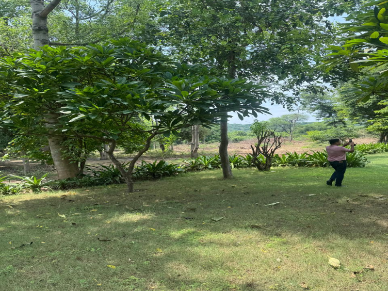  Agricultural Land 1 Acre for Sale in Sohna Road, Faridabad