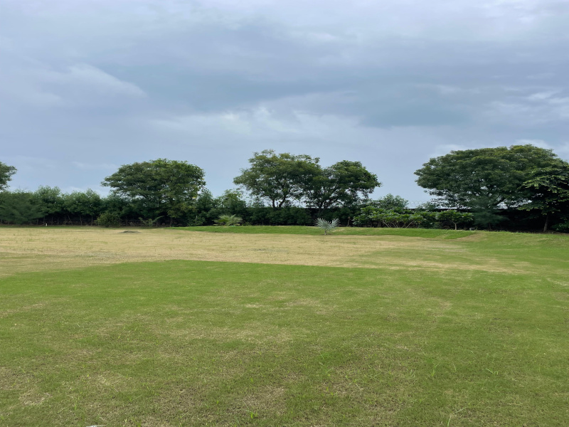  Agricultural Land 2420 Sq. Yards for Sale in Sohna Palwal Road, Gurgaon