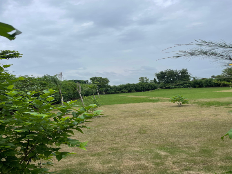  Agricultural Land 1210 Sq. Yards for Sale in Sohna Palwal Road, Gurgaon