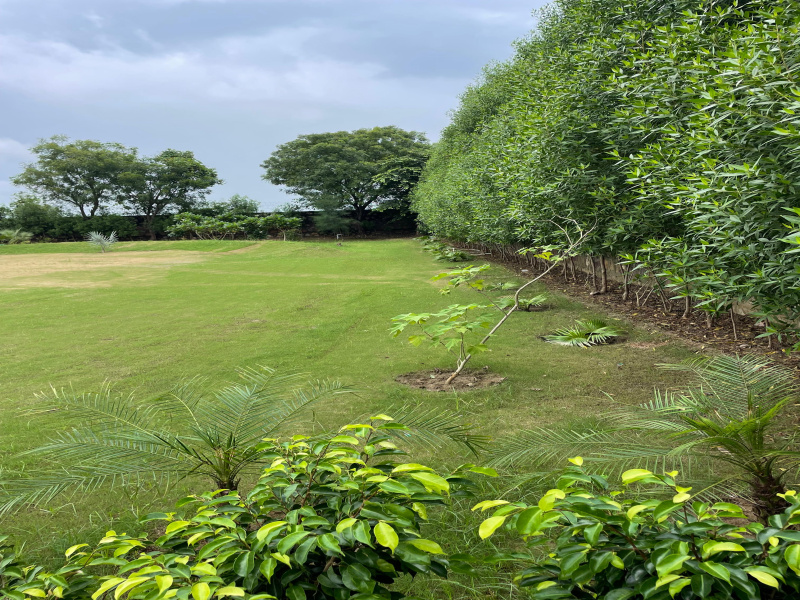  Agricultural Land 1210 Sq. Yards for Sale in Sohna Palwal Road, Gurgaon