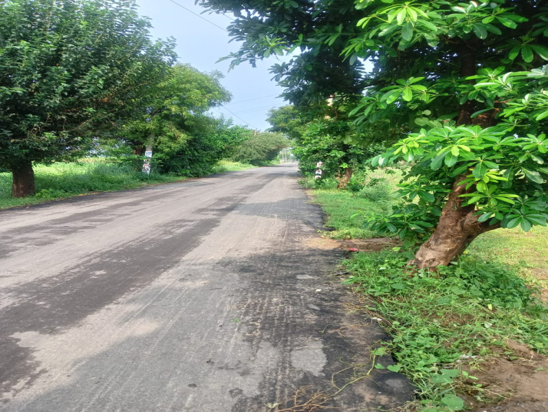 Agricultural Land 1 Acre for Sale in Sohna Road, Faridabad