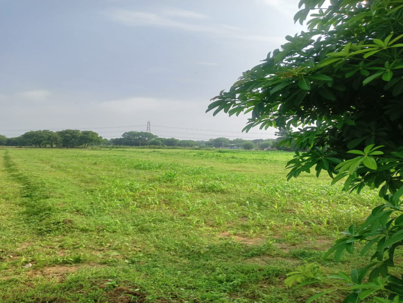  Agricultural Land 1 Acre for Sale in Sohna Road, Faridabad