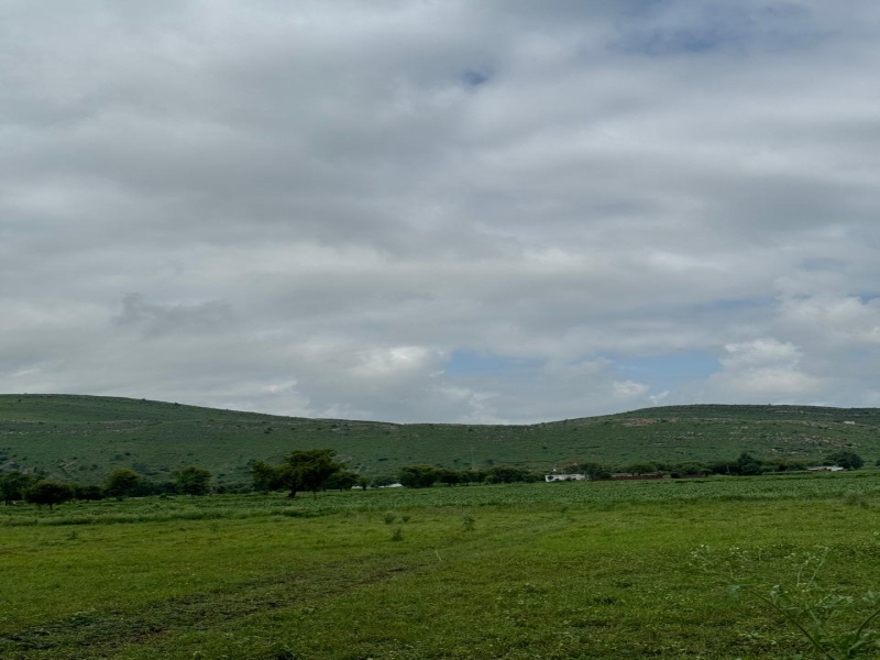  Agricultural Land 18 Bigha for Sale in Naugaon, Alwar