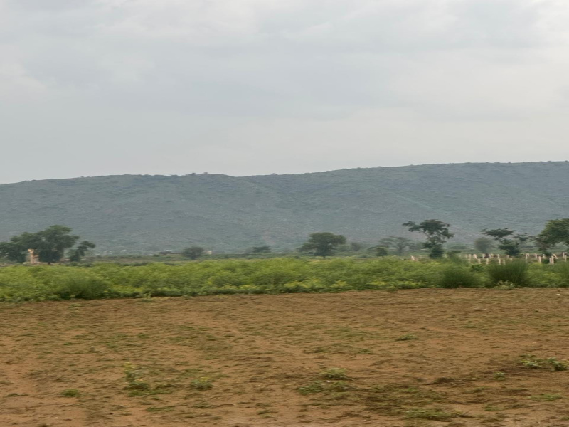  Agricultural Land 13 Bigha for Sale in Naugaon, Alwar