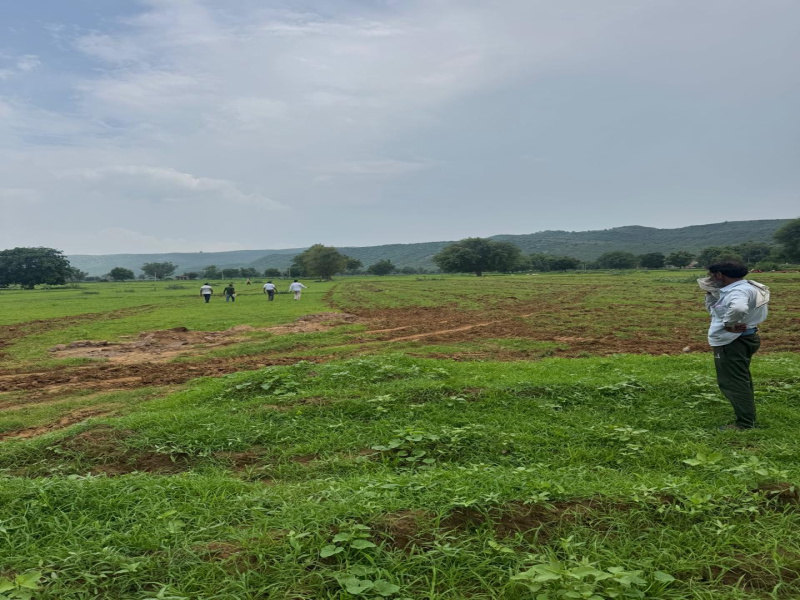  Agricultural Land 13 Bigha for Sale in Naugaon, Alwar