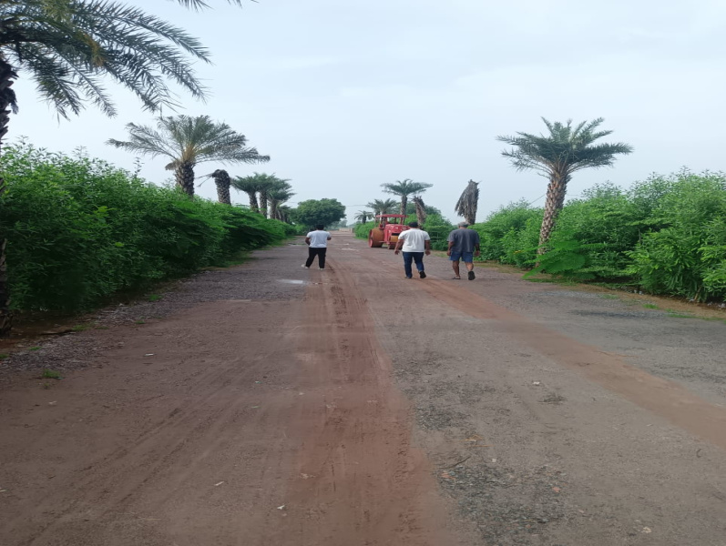 1 Acre Agricultural/Farm Land for Sale in Sohna, Gurgaon