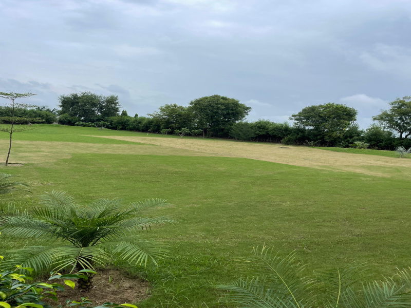  2420 Sq. Yards Agricultural/Farm Land for Sale in Sohna, Gurgaon