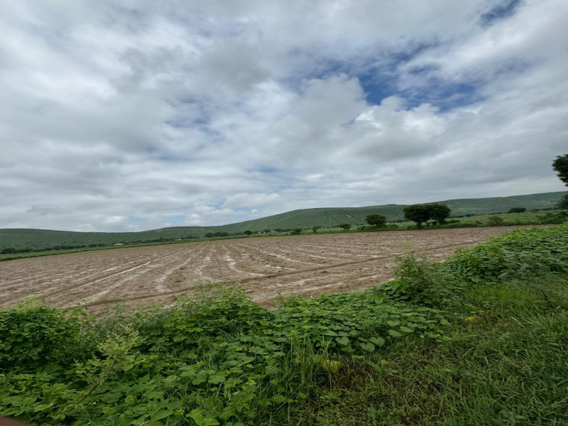  Agricultural Land 10 Bigha for Sale in Naugaon, Alwar