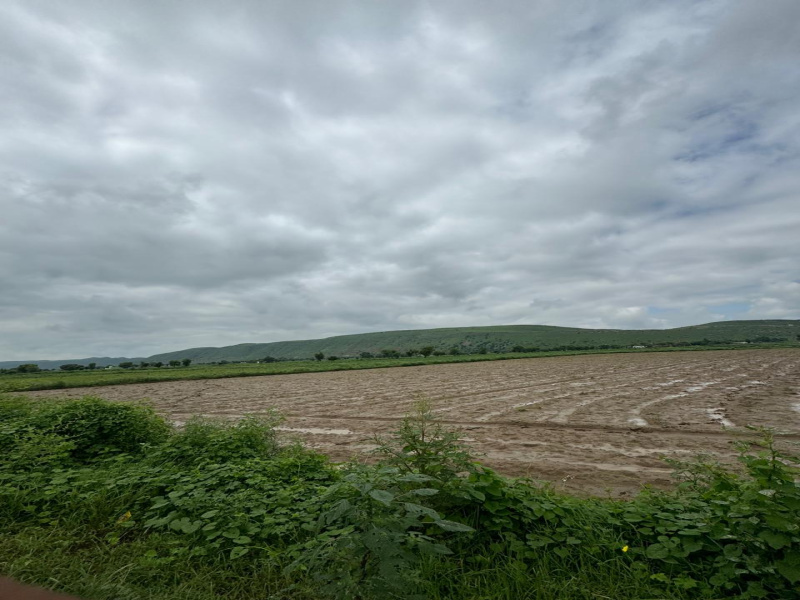  Agricultural Land 10 Bigha for Sale in Naugaon, Alwar