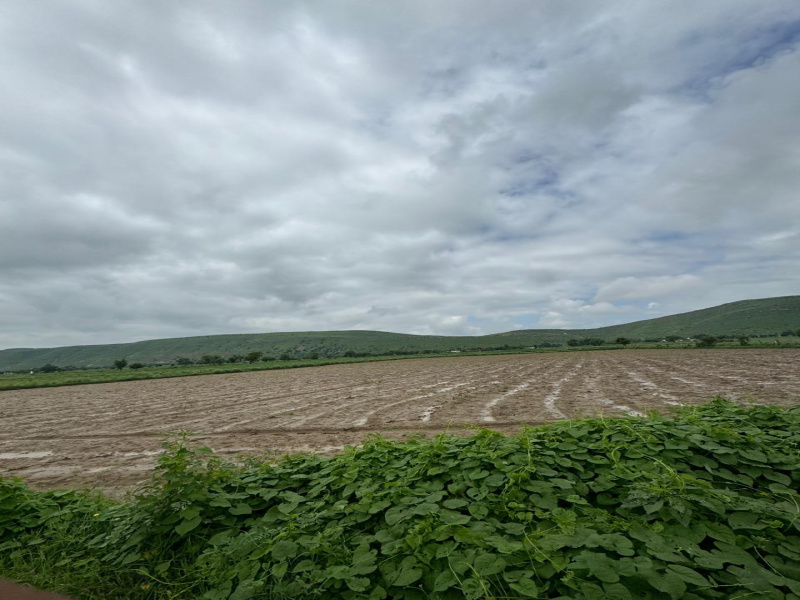  Agricultural Land 10 Bigha for Sale in Naugaon, Alwar