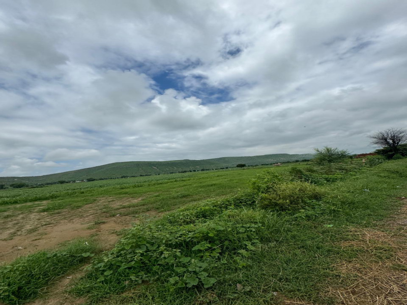  Agricultural Land 15 Bigha for Sale in Naugaon, Alwar