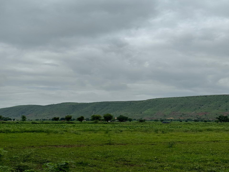  Agricultural Land 15 Bigha for Sale in Naugaon, Alwar