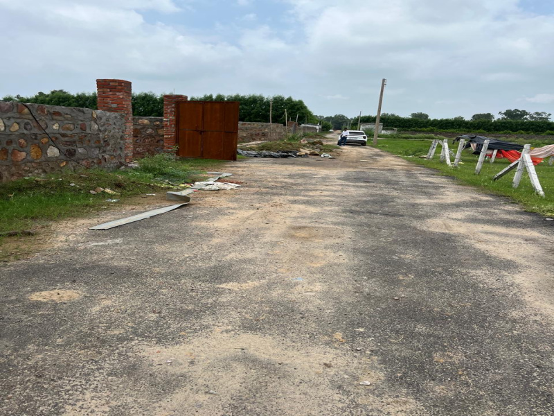  Agricultural Land 1210 Sq. Yards for Sale in Sohna, Gurgaon