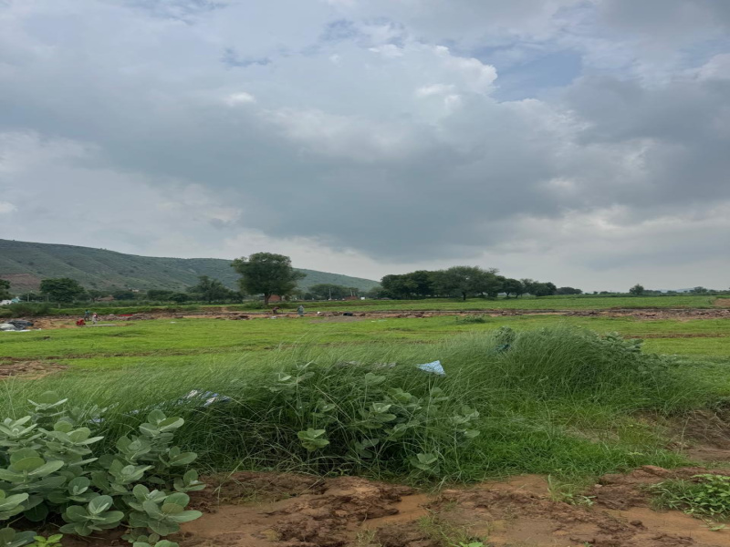  Agricultural Land 12 Bigha for Sale in Naugaon, Alwar