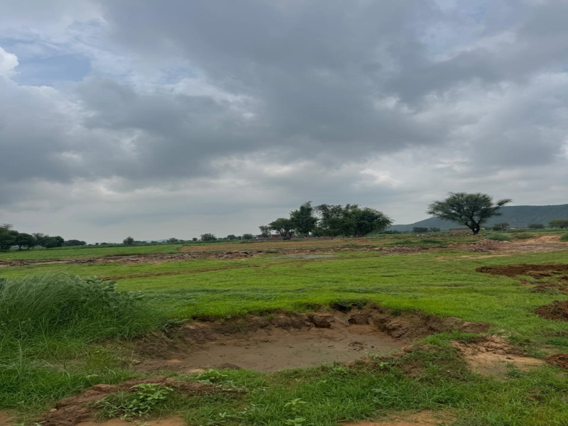  Agricultural Land 12 Bigha for Sale in Naugaon, Alwar