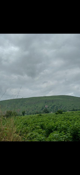  15 Bigha Agricultural/Farm Land for Sale in Naugaon, Alwar