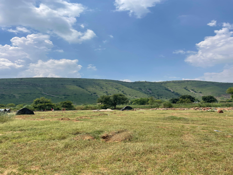 Agricultural Land 7 Bigha for Sale in Naugaon, Alwar