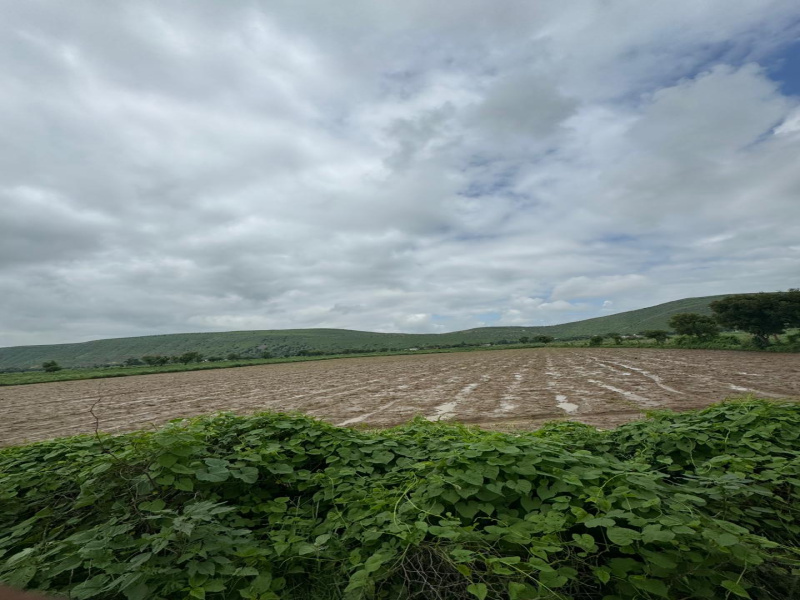  Agricultural Land 10 Bigha for Sale in Naugaon, Alwar