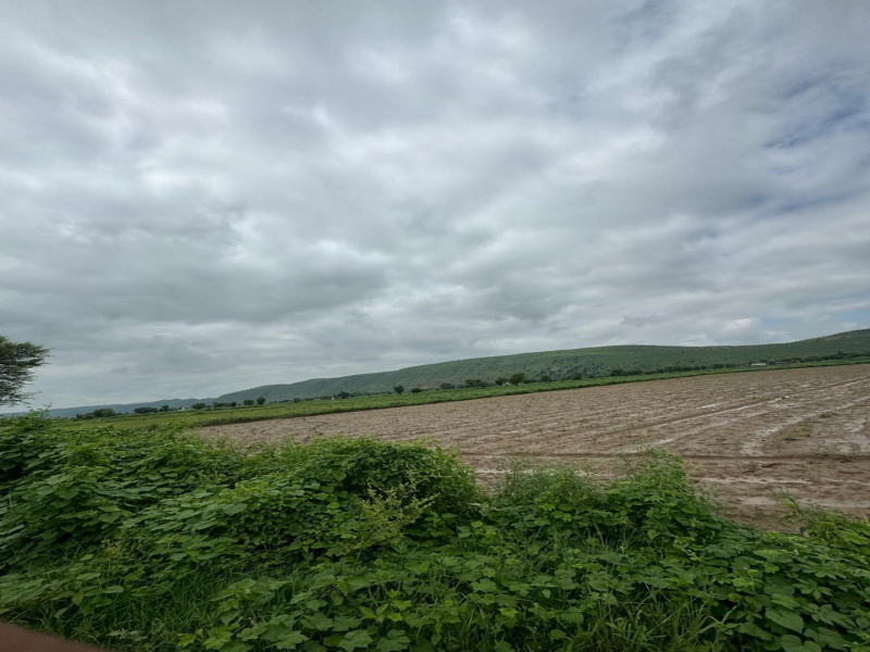  Agricultural Land 10 Bigha for Sale in Naugaon, Alwar
