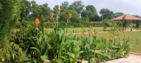 Agricultural Land for Sale in Sohna Road, Faridabad