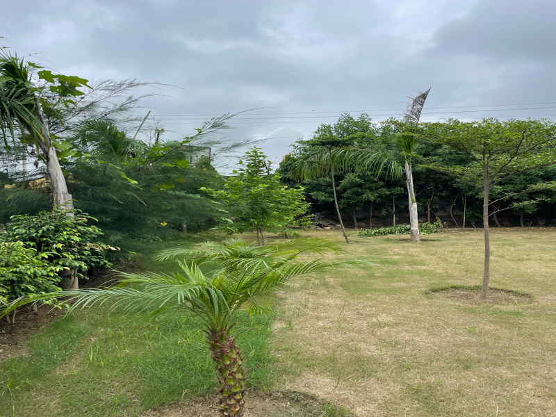  Agricultural Land 2420 Sq. Yards for Sale in Sohna, Gurgaon