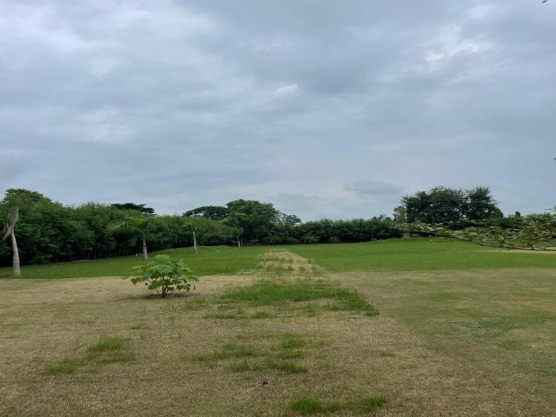  Agricultural Land 2420 Sq. Yards for Sale in Sohna, Gurgaon