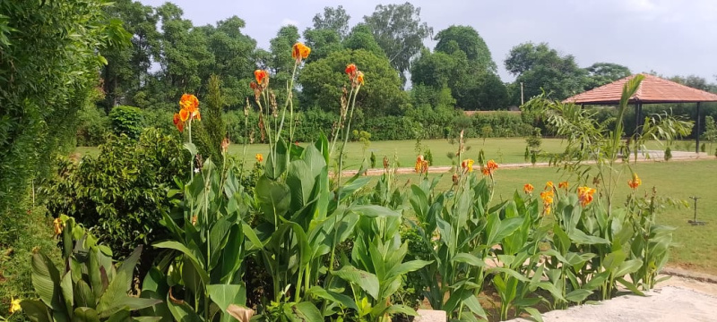  Agricultural Land 2 Acre for Sale in Sohna Road, Faridabad