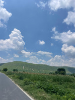  Agricultural Land for Sale in Naugaon, Alwar