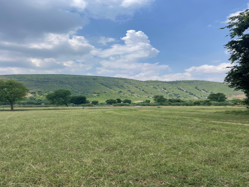  8 Bigha Agricultural/Farm Land for Sale in Naugaon, Alwar