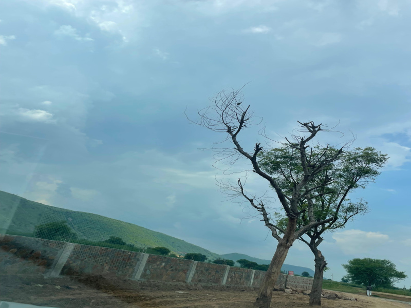  Agricultural Land 8 Bigha for Sale in Naugaon, Alwar