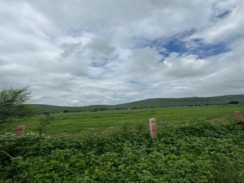  Agricultural Land 6 Bigha for Sale in Naugaon, Alwar
