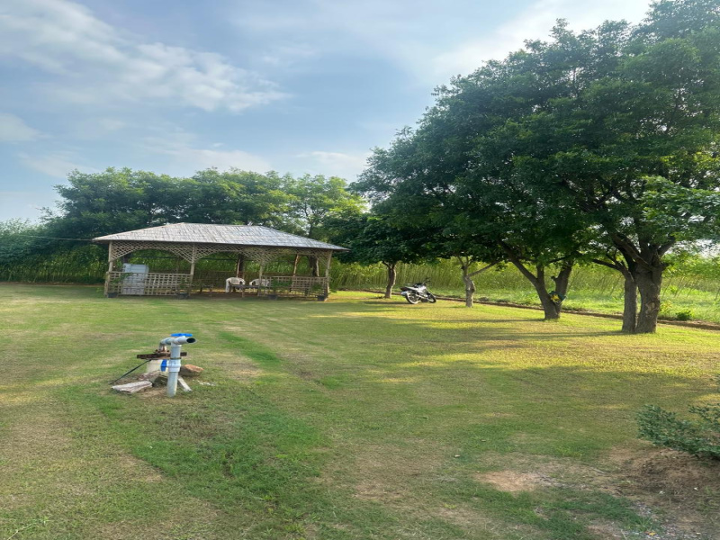  Agricultural Land 1 Acre for Sale in Sohna, Gurgaon