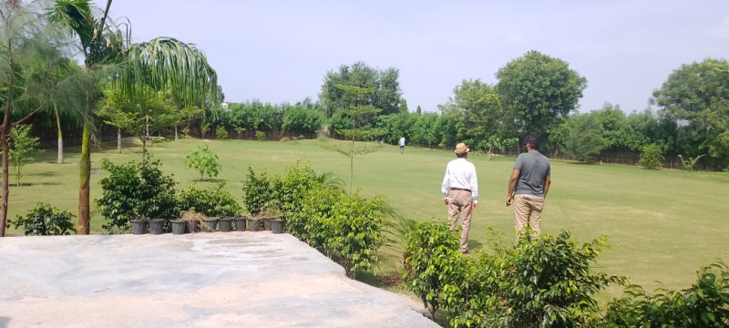  Agricultural Land 1 Acre for Sale in Sohna Road, Faridabad
