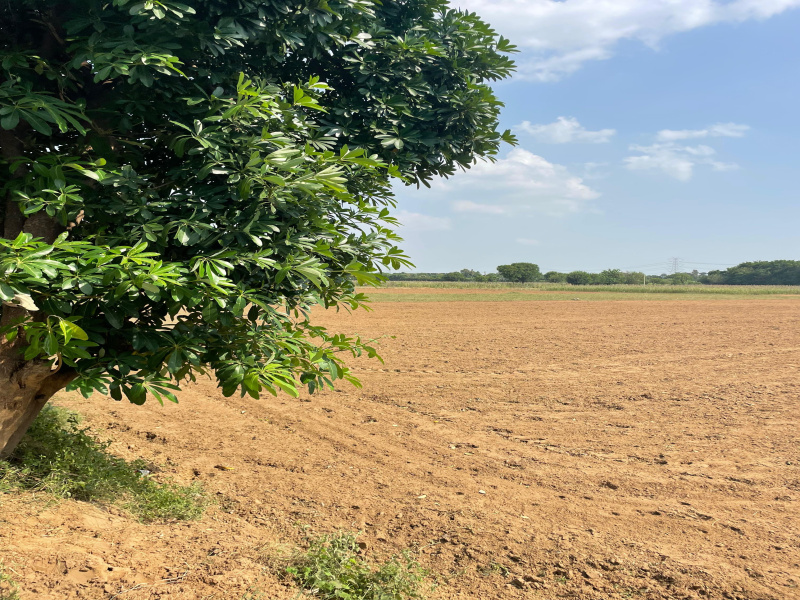  2420 Sq. Yards Agricultural/Farm Land for Sale in Sohna Road, Faridabad