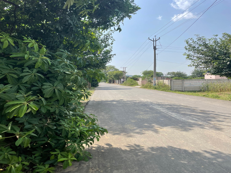  2420 Sq. Yards Agricultural/Farm Land for Sale in Sohna Road, Faridabad