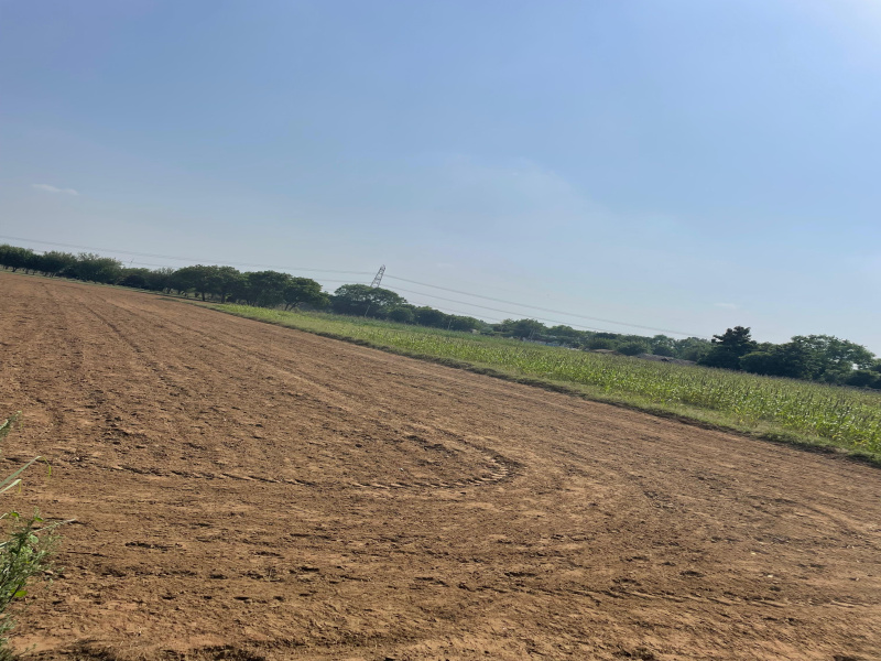  2420 Sq. Yards Agricultural/Farm Land for Sale in Sohna Road, Faridabad