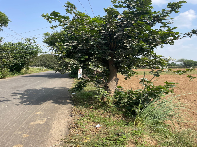  2420 Sq. Yards Agricultural/Farm Land for Sale in Sohna Road, Faridabad