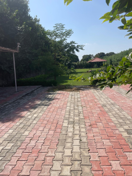  Agricultural Land for Sale in Sohna, Gurgaon