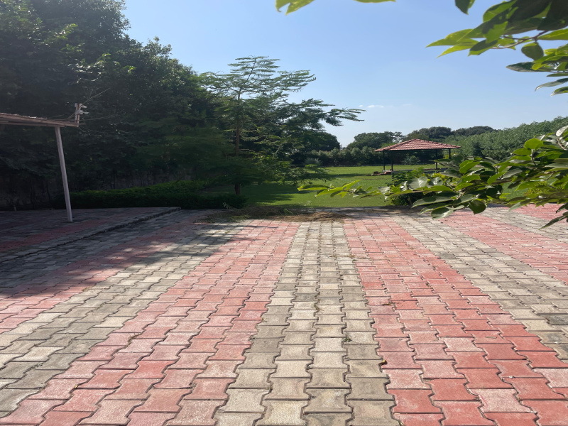  Agricultural Land 2420 Sq. Yards for Sale in Sohna, Gurgaon