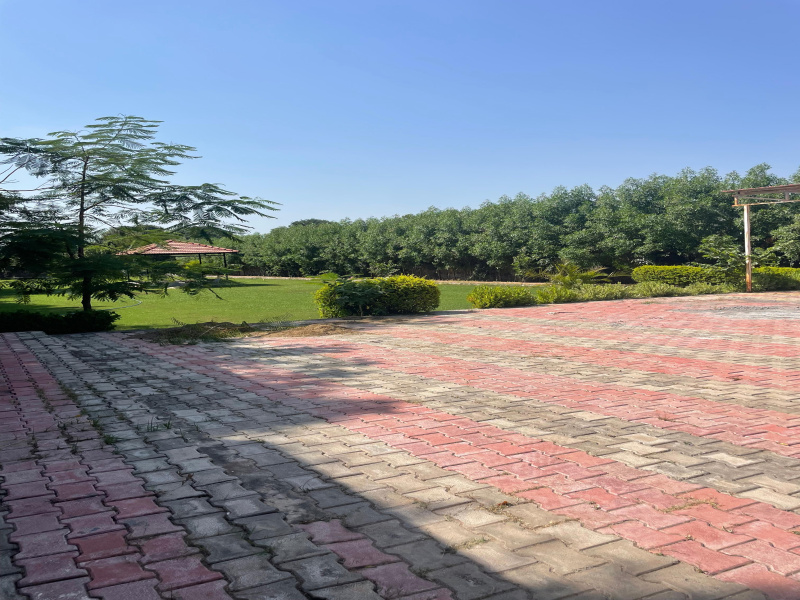  Agricultural Land 2420 Sq. Yards for Sale in Sohna, Gurgaon