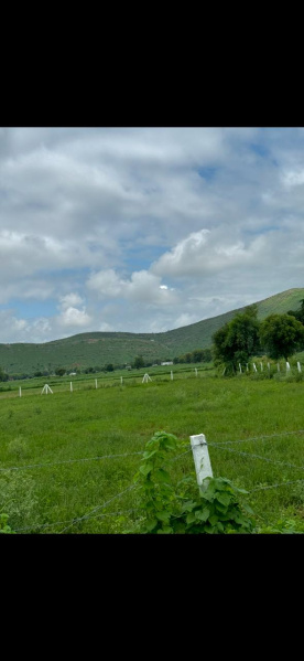  Agricultural Land 6 Bigha for Sale in Naugaon, Alwar
