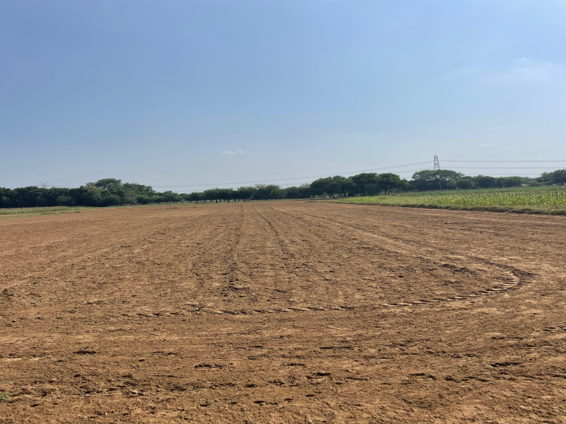  Agricultural Land 2500 Sq. Yards for Sale in Sohna Road, Faridabad