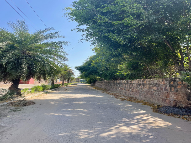  Agricultural Land 2500 Sq. Yards for Sale in Sohna Palwal Road, Gurgaon