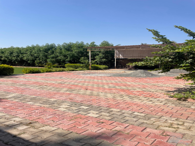  Agricultural Land 2500 Sq. Yards for Sale in Sohna Palwal Road, Gurgaon