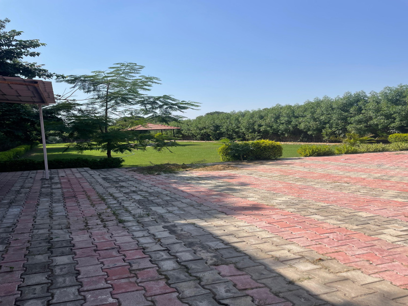  Agricultural Land 2450 Sq. Yards for Sale in Sohna, Gurgaon