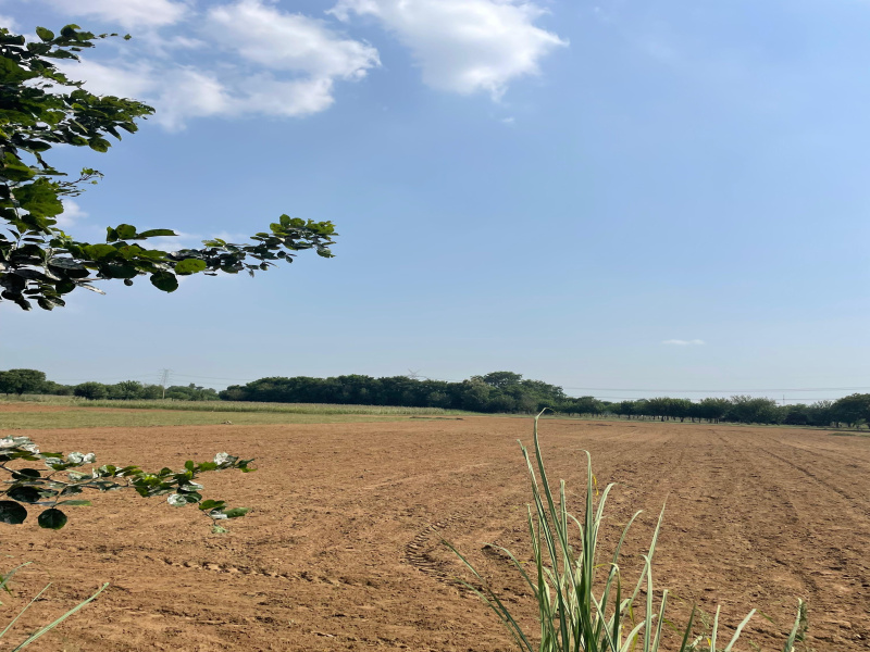  Agricultural Land 3000 Sq. Yards for Sale in Sohna Road, Faridabad